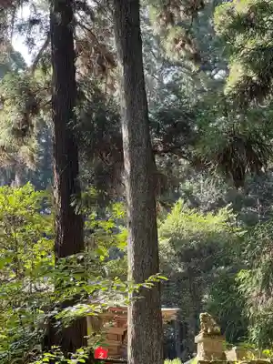 大宮温泉神社(栃木県)
