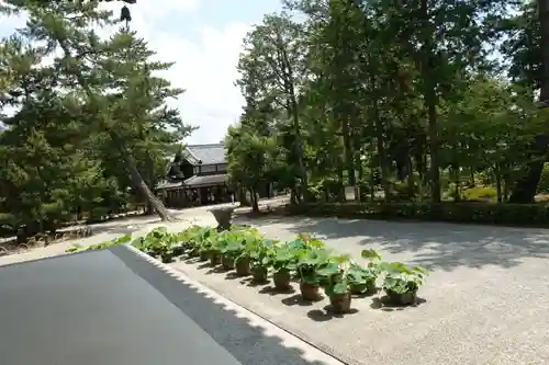 唐招提寺のその他建物