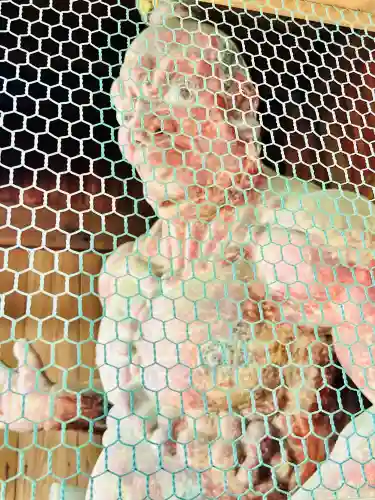 弘明寺の{uncategorized: "未分類", other: "その他", undefined: "問題あり", building: "その他建物", grave: "お墓", sacred_gate: "鳥居", guardian: "狛犬", statue: "像", buddha: "仏像", history: "歴史", nature: "自然", garden: "庭園", animal: "動物", pagoda: "塔", temizu: "手水舎", mountain_gate: "山門・神門", sanctuary: "本殿・本堂", subordinate: "末社・摂社", art: "芸術", scenery: "景色", jizo: "地蔵", ema: "絵馬", goshuin: "御朱印", omikuji: "おみくじ", items: "授与品その他", amulet: "お守り", goshuincho: "御朱印帳", eats: "食事", festival: "お祭り", votive_dance: "神楽", shichigosan: "七五三参", wedding: "結婚式", experience: "体験その他", initially: "初詣", around: "周辺", anti_infection: "感染症対策"}