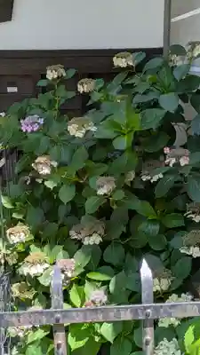 行願寺（革堂）(京都府)