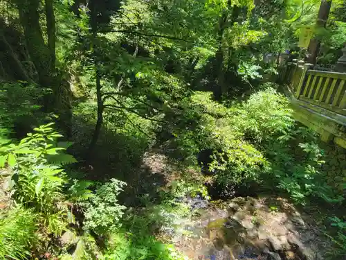 多度大社の自然