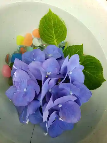 白金氷川神社の手水舎