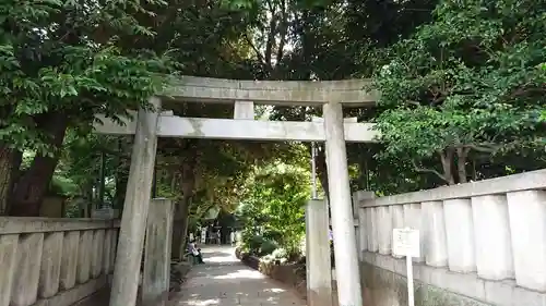 渋谷氷川神社の鳥居