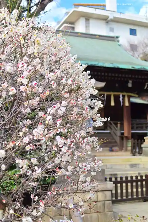 五條天神社の自然