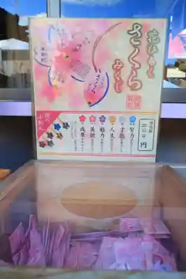 櫻岡大神宮のおみくじ