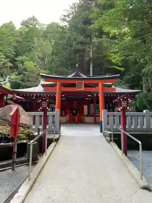 九頭龍神社新宮(神奈川県)
