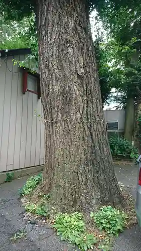 腰掛稲荷神社の自然