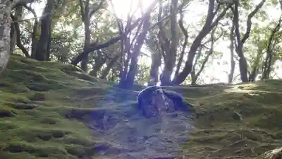 慈照寺（慈照禅寺・銀閣寺）(京都府)