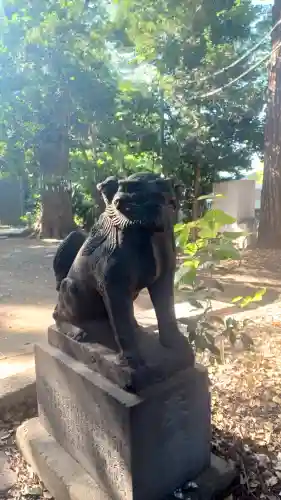 代々木八幡宮の狛犬