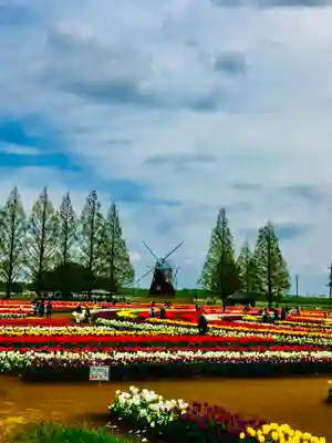布施弁天 東海寺の周辺