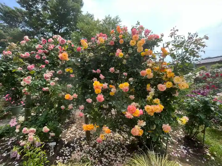 艫神社(茨城県)