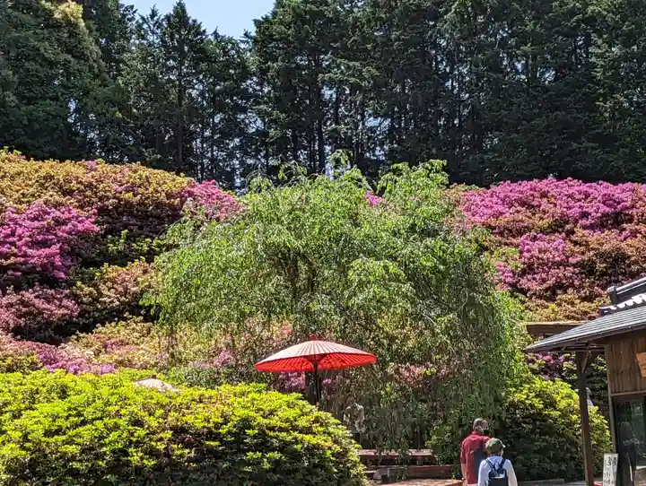 三室戸寺(京都府)