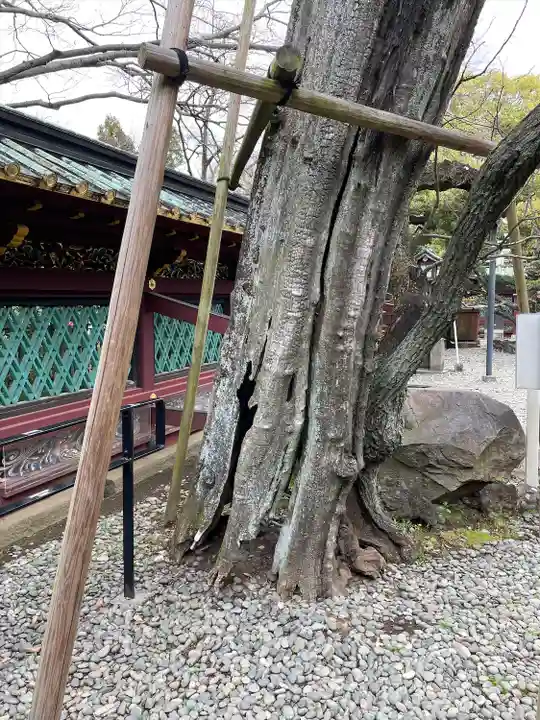 上野東照宮(東京都)