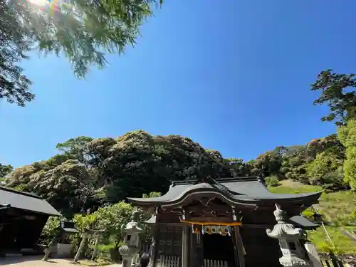 大分八幡宮の本殿