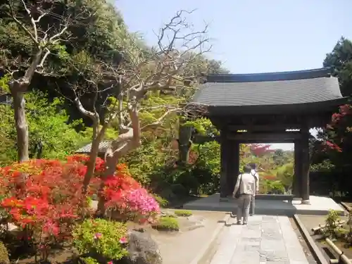 海蔵寺の庭園