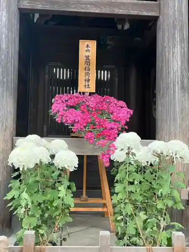 明治神宮(東京都)