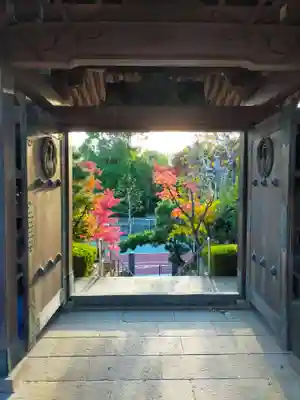 法輪寺の山門・神門