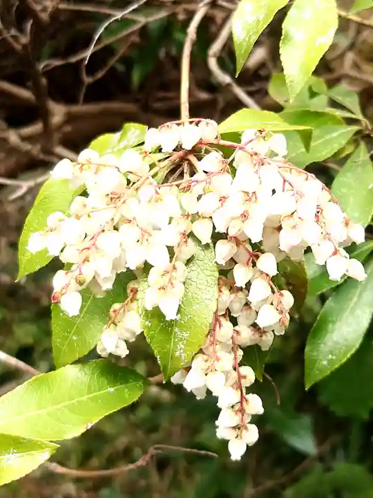 瑞泉寺(神奈川県)