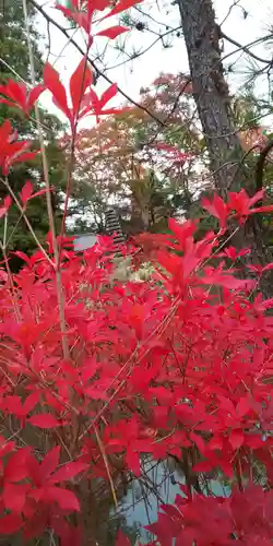 鍬山神社(京都府)