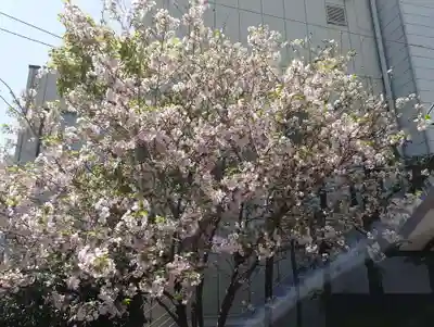 城岡神社(静岡県)