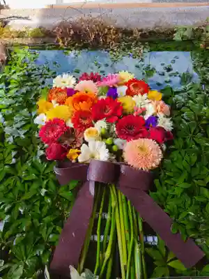 琴崎八幡宮(山口県)