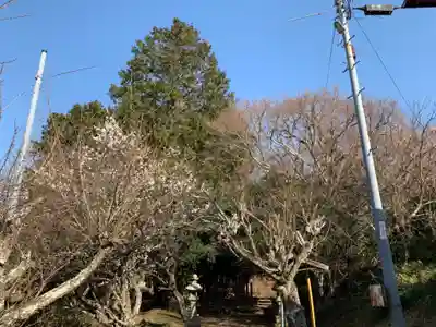 天神社のその他建物
