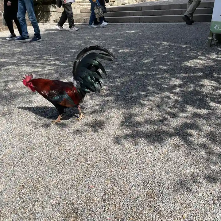 石上神宮(奈良県)