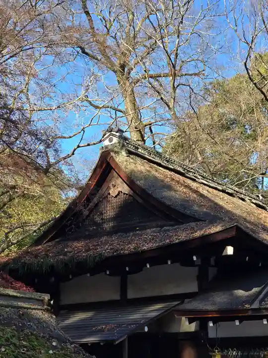 河合神社(鴨川合坐小社宅神社)(京都府)