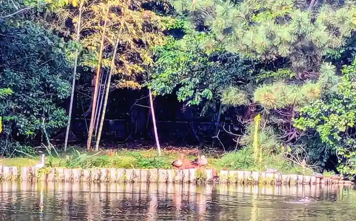 菊田神社の周辺