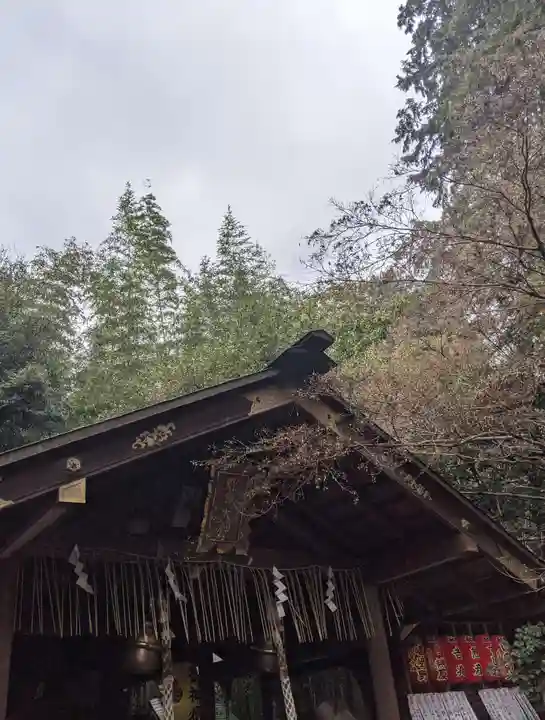 野宮神社(京都府)