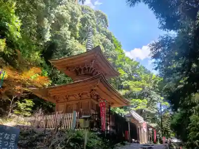 日龍峯寺(高澤観音)(美濃清水)(岐阜県)