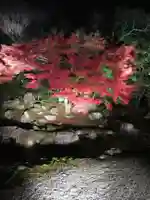 圓徳院(京都府)