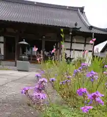 全龍寺(埼玉県)