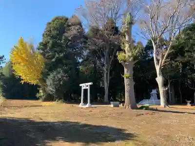 明治神宮(千葉県)