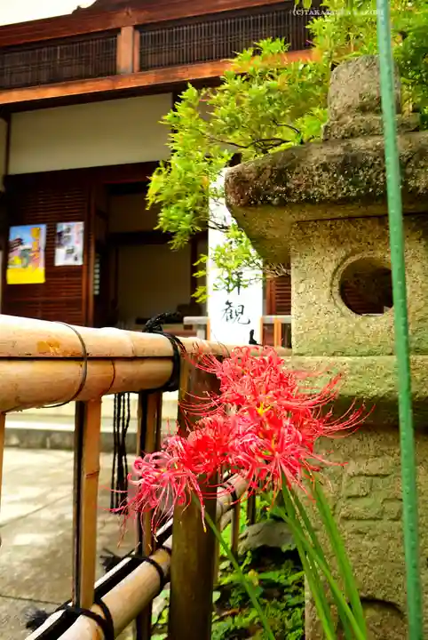 高幡不動尊 金剛寺(東京都)