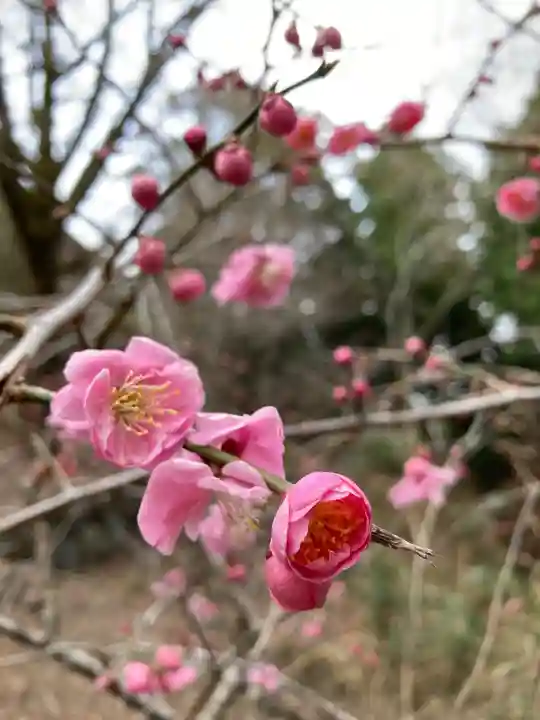 播州清水寺の自然