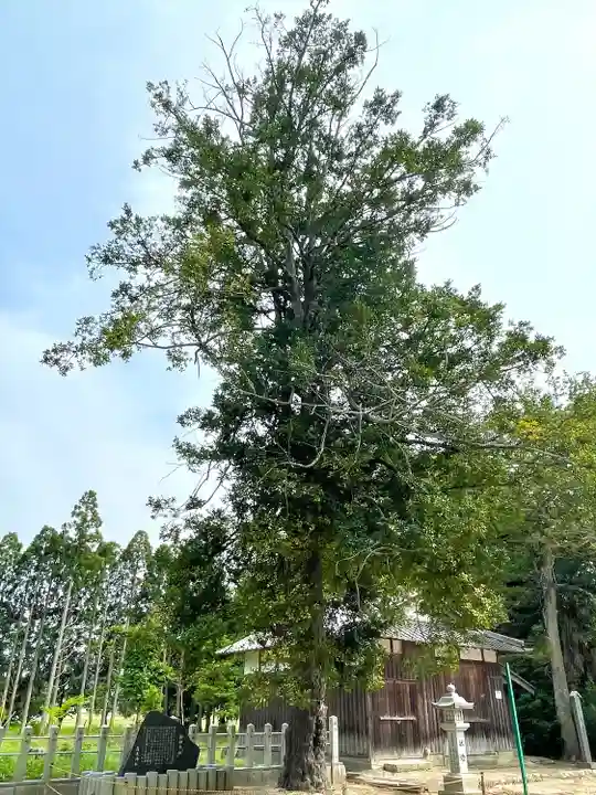 高木神社(滋賀県)