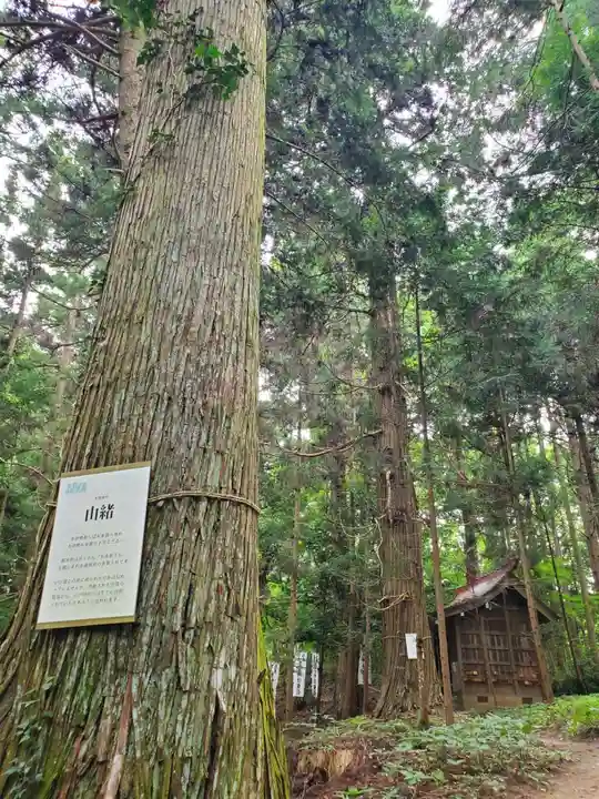 鹿島大神宮(福島県)