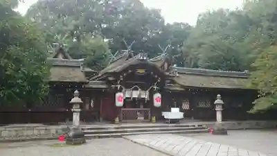 平野神社の本殿・本堂