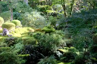 三千院門跡(京都府)