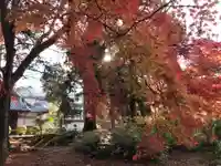 禅林寺(永観堂)の自然