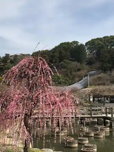 太宰府天満宮の庭園