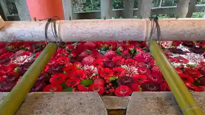 石清水八幡宮(京都府)