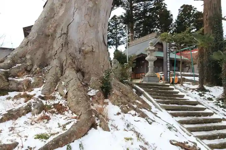 多田野本神社の自然