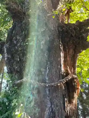 鞆江神社（明地）(愛知県)