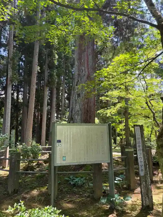 如法寺(鳥追観音)(福島県)