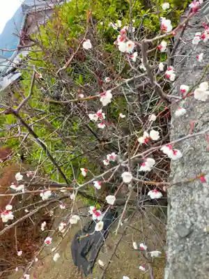 浄教寺(和歌山県)