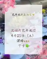 花手水の告知
新緑ver.