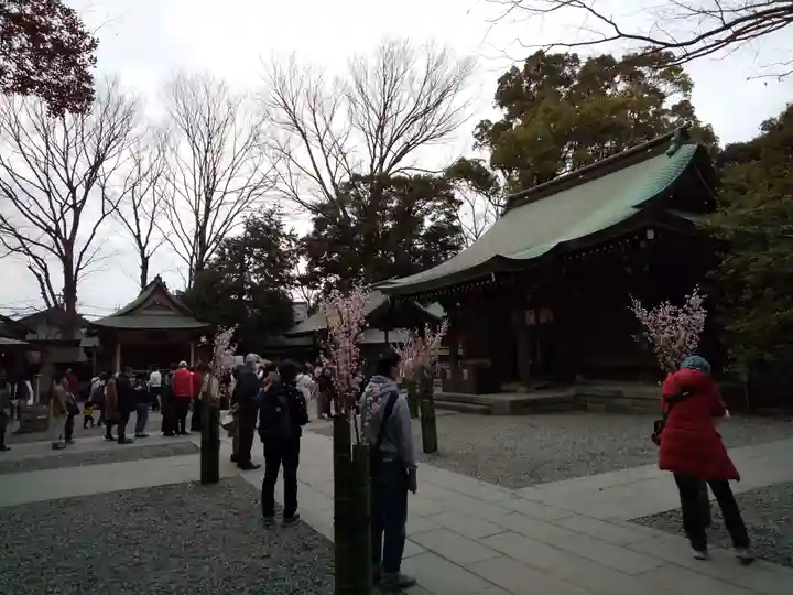 川越氷川神社(埼玉県)