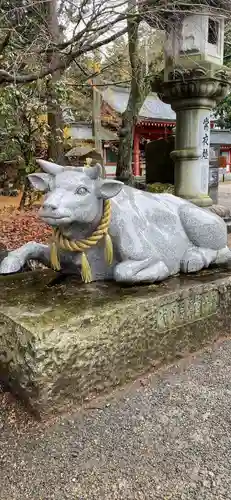 冨士御室浅間神社の狛犬